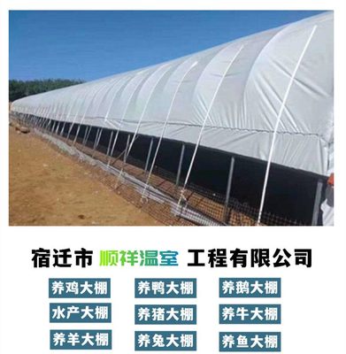 養(yǎng)殖專用黑白膜塑料農(nóng)用薄膜 助力現(xiàn)代化種植與溫室管理