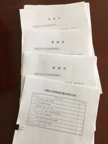 動態 一站式服務 金井市管所設立內資企業辦理窗口